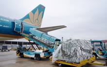 Thị giá gần 200.000 đồng, một công ty hàng không có tỷ suất lợi nhuận cao tốp đầu TTCK: thu 10 đồng lãi 8, lãi quý 1 tăng 36% lập kỷ lục mới