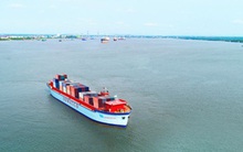 Cổ tức từ VICT giúp lợi nhuận sau thuế quý 1 của Sowatco (SWC) đi ngang so với cùng kỳ, đạt 49 tỷ đồng