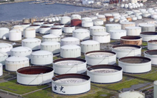 Nhật Bản sẽ bán đấu giá 4,8 triệu thùng dầu dự trữ vào 10/5