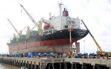 Sau quý 4/2021 có lãi, Vận tải biển Phương Đông (NOS) trở lại báo lỗ 29 tỷ đồng trong quý 1/2022