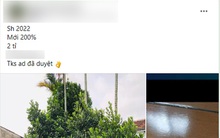 Ra giá 2 tỷ đồng vì bốc được biển ngũ quý 666.66, chủ xe Honda SH được CĐM tiếp lời: "Xe này phải 6 tỷ đồng mới đúng"