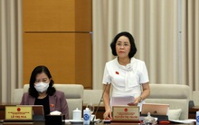 Xin đất rồi 'sang tay' hưởng chênh lệch khiến dự án treo