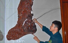 Chàng trai khởi nghiệp từ đục sắt, cưa gỗ tạo sản phẩm kỳ thú hút khách muôn phương