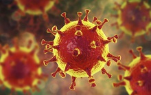 Căn bệnh bí ẩn trong lịch sử có thể cung cấp manh mối về sự kết thúc dịch Covid