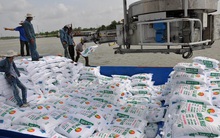 Đề xuất tăng thuế xuất khẩu, nhằm giảm giá phân bón trong nước
