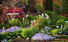 Người phụ nữ dành 20 năm để biến mơ ước tạo một khu vườn cổ tích trở thành hiện thực