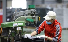 Cung cấp 'vốn mồi' 100 triệu đồng hỗ trợ doanh nghiệp khởi nghiệp mô hình kinh doanh mới