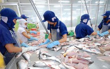 Bất chấp chi phí vận chuyển tăng cao, Navico (ANV) báo lãi quý 1 gấp hơn 3 lần cùng kỳ