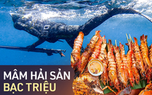 Ăn "MÂM HẢI SẢN BẠC TRIỆU" với giá 0 ĐỒNG - Nghe hoang đường nhưng anh chàng này sẽ bày cho bạn độc chiêu của dân du lịch bụi, vì một chuyến đi đẹp và không tốn kém!