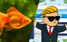 Đưa 50.000$ cho cá vàng "chơi cổ phiếu" còn thắng đậm hơn nghe thanh niên trên MXH “phím hàng”