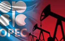 OPEC+ 'khôn' hay 'dại' khi chơi trò chờ đợi giữa bão táp của trường dầu mỏ?