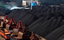 Việt Nam cần nhập khẩu 25 triệu tấn than năm 2022 cho điện và phân bón