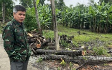 Vì sao lô đất ở cách xa trung tâm TP Huế được định giá đến 45 triệu đồng/m2?