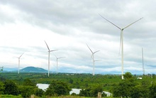 Điện Gia Lai (GEG) đặt mục tiêu lãi trước thuế năm 2022 giảm về mức 345 tỷ đồng, muốn phát hành 58 triệu cổ phiếu tăng vốn điều lệ