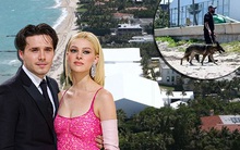 Địa điểm cưới 2283 tỷ của Brooklyn Beckham đã sẵn sàng: Hé lộ dinh thự gia tộc tỷ phú, an ninh thắt chặt tối đa đón dàn siêu sao