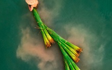 Bức ảnh của tác giả Việt Nam vừa đoạt giải nhất trong cuộc thi Skypixel: Đẹp xuất sắc!