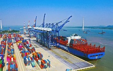 Lo ngại giá dầu leo thang, VOS đặt kế hoạch "đi lùi" trong năm 2022