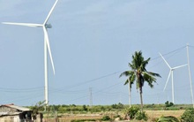 Hai nhà máy điện gió ngàn tỉ ở miền Tây hòa lưới điện quốc gia
