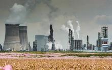 “Bây giờ hoặc không bao giờ”: Các nhà khoa học ra ‘tối hậu thư’ về sức chịu đựng cuối cùng của Trái đất