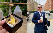 Chương Tailor đón thêm 2 chim đột biến siêu hiếm, dân mạng trầm trồ: Quý vật tầm quý nhân