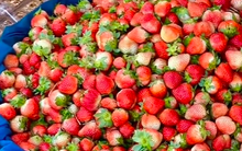 Đi chợ Đà Lạt mua dâu hay gặp “hàng độn” quả hư, quả dập, cô gái ấm ức quyết tìm địa điểm bán dâu cực ngon đáng để tham khảo