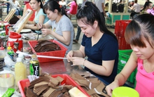 Ồ ạt rút BHXH một lần: Phải giảm tuổi nghỉ hưu