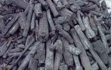 Đặt than củi vào lò vi sóng, điều kỳ diệu xảy ra sau vài ngày sẽ khiến bạn hối hận vì không làm điều này sớm hơn