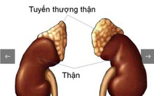 Cơ quan giữ sinh mệnh của con người: Nhiều người Việt 'dùng như phá', lúc hỏng mới hối hận