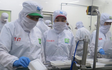 Ồ ạt rút BHXH một lần: Lấp khoảng trống lương hưu, cách nào?