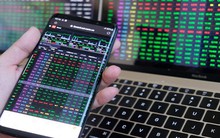 Tập đoàn Danh Khôi (NRC): “Không xảy ra việc bán giải chấp cổ phiếu của Chủ tịch tập đoàn”