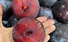 5 cách ăn mận tăng collagen giúp đẹp da, khỏe xương khớp lại không sợ nóng trong