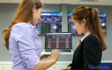 Những cổ phiếu ‘vượt đỉnh’ nâng tầm Chứng khoán Everest