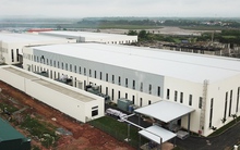 Texhong và những toan tính mới ở Việt Nam