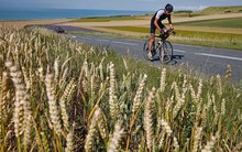 Giá lúa mì châu Âu tăng cao kỷ lục