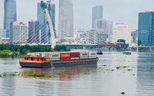 Dự báo cước tàu biển tăng, doanh nghiệp logistics tìm cách ứng phó