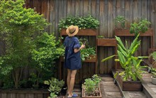 Choáng ngợp "hệ sinh thái" mướt mắt trong những căn biệt thự trăm tỷ của loạt sao Việt