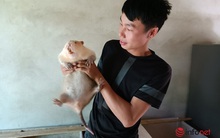 Đi chơi gặp loài vật đặc biệt, chàng trai bỏ việc để đầu tư, thu về 400 triệu mỗi năm