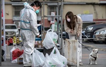 Bắc Kinh thắt chặt phòng dịch, Thượng Hải ghi nhận dấu hiệu khả quan