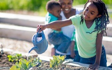 Làm thế nào để bắt đầu khu vườn của riêng mình?