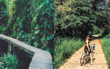 Lưu ngay các khu du lịch xanh mượt gần TP.HCM để "vào rừng, lên núi" mùa hè này