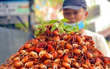 Hàng ba khía Cà Mau tại Sài Gòn tiết lộ mỗi tháng doanh thu trên 300 triệu đồng, "tiền lời quá đủ để lo cho gia đình" nhưng vẫn chọn bán lề đường vì một nỗi lo