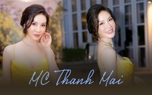 Tuổi 49 rực rỡ của "nữ hoàng ảnh lịch" Thanh Mai: Sở hữu biệt thự sang trọng nhờ "mát tay kinh doanh", ngoại hình trẻ trung bất chấp thời gian