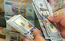 Nợ công bình quân đầu người năm 2020 là hơn 35 triệu đồng/người