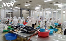 Nâng cao hiệu quả công tác đánh giá việc thực thi và các tác động của Hiệp định EVFTA