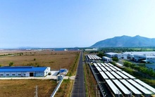 Bất động sản công nghiệp Việt Nam: Muốn hút vốn FDI phải tạo sự khác biệt