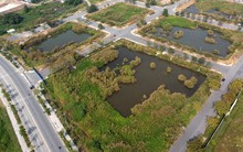 Phạt hơn 150 tỷ đồng tiền chậm nộp đối với hai công ty trúng đấu giá đất Thủ Thiêm