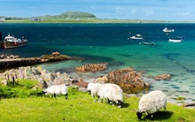 Những hòn đảo đẹp như thơ mà phải "nhờ" người ở, xách vali dọn đến sinh sống rinh ngay 1,5 tỷ đồng