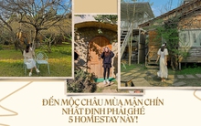 Sắp đến Mộc Châu mùa mận chín thì phải ghim ngay 5 homestay xinh phát hờn này: Đủ cả 3 tiêu chí chill - xịn - rẻ luôn!