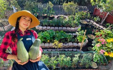 Nhớ quê da diết, nữ Việt kiều chi gần 500 triệu, tự đào ao, bê gạch làm vườn đẹp như tranh