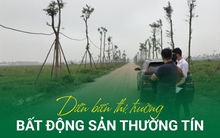 Sau thông tin xây dựng sân bay thứ 2 ở Hà Nội, thị trường bất động sản Thường Tín có diễn biến bất ngờ